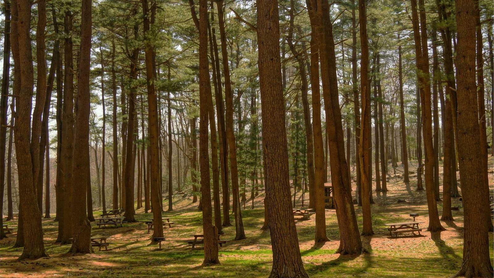 Jak przygotować mieszkanie dla niemowlaka?