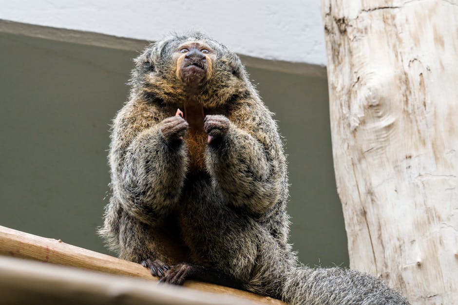 Featured image of post Jak radzić sobie z gorączką u dziecka? Poradnik dla rodzi...