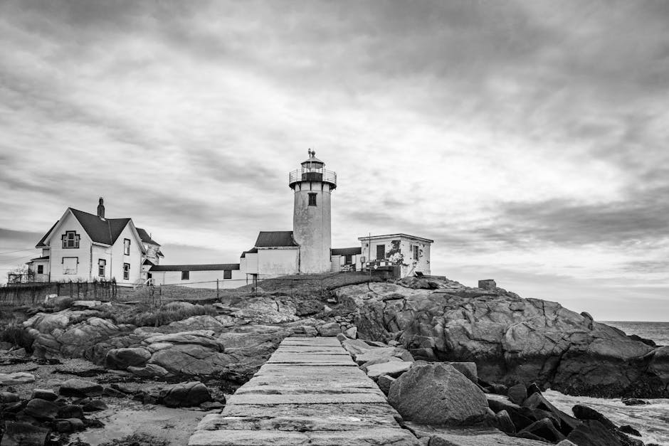 (Photo: Phil Evenden)