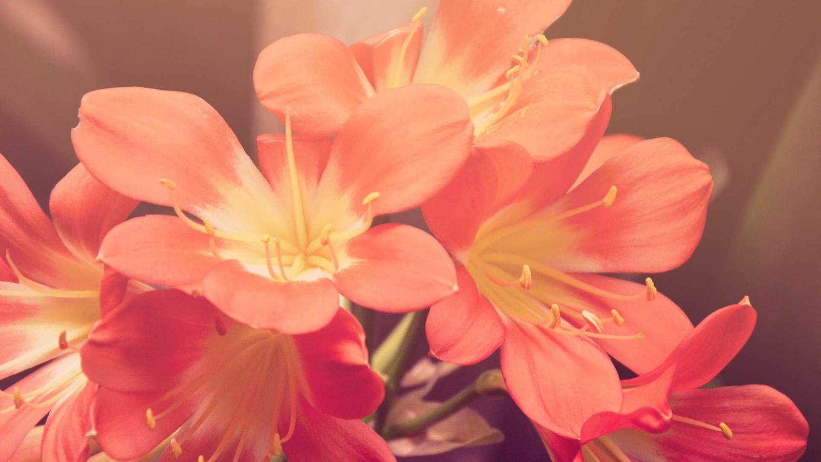 Jak przygotować mieszkanie dla niemowlaka?