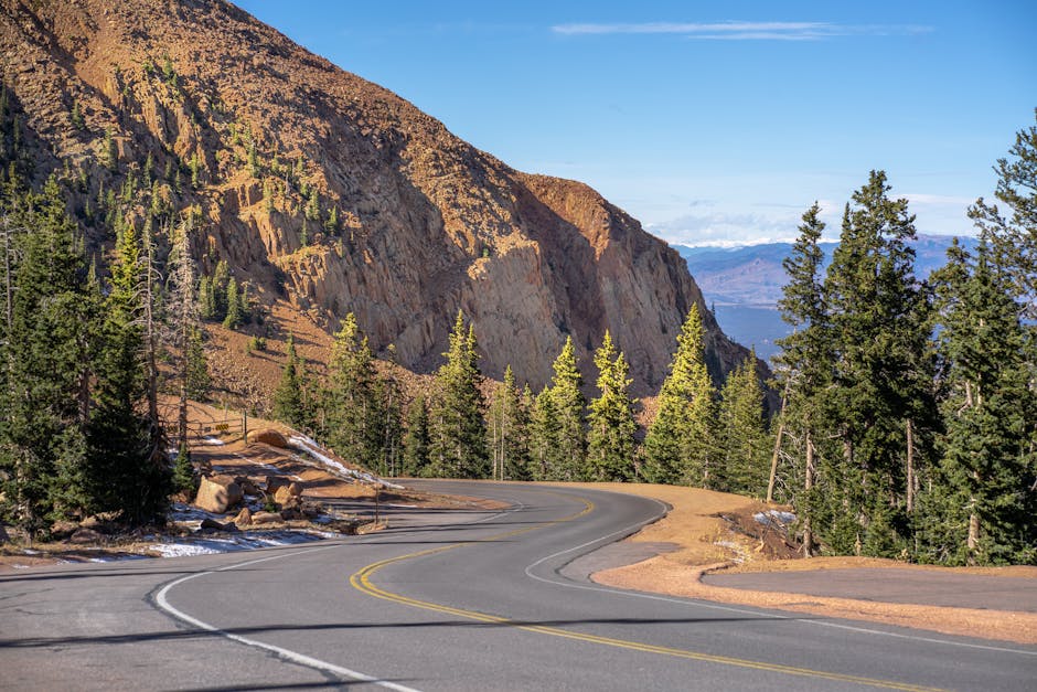 Winding road through scenic mountains and pine trees in Colorado.