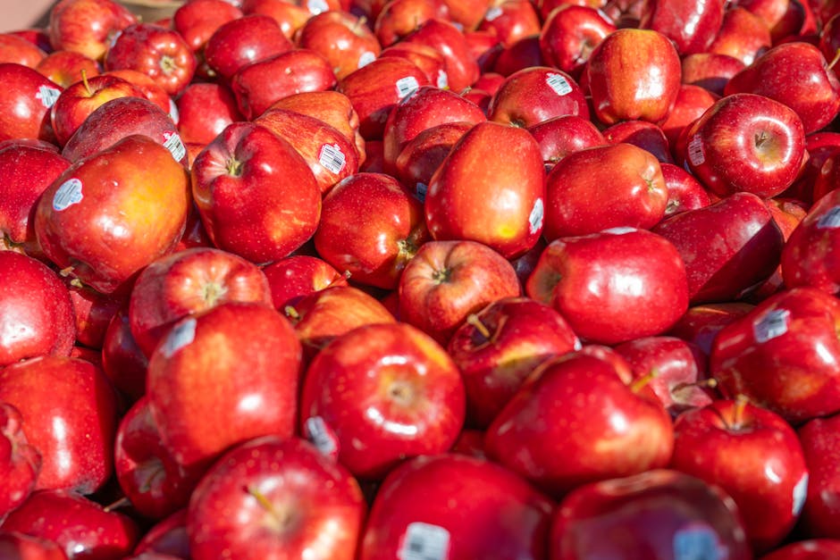 (Photo: Héctor Berganza)