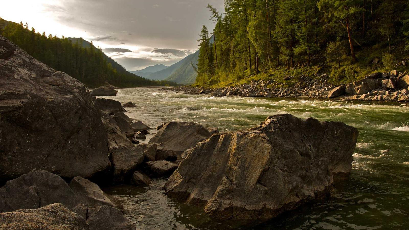 Jak wprowadzać produkty alergizujące bez paniki