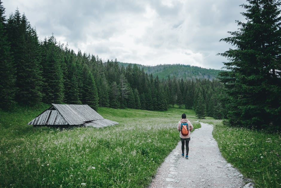 Woman hiking on a serene mountain trail in the Tatra Mountains of Poland. Perfect for adventure seekers.