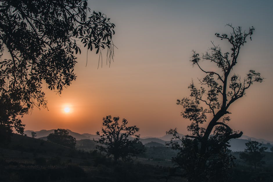 Stunning sunset over Thuamul Rampur with tree silhouettes and mountain views.
