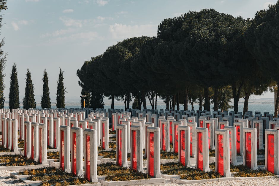 Featured image of post Testowanie produktów dziecięcych - Etyczne i bezpieczne t...