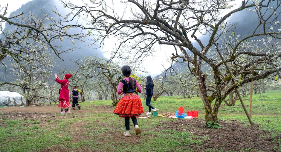 A Hmong family in vibrant attire enjoying a spring day among blossoming plum trees in Vietnam. (Photo: Quang Nguyen Vinh) A Hmong family in vibrant attire enjoying a spring day among blossoming plum trees in Vietnam.