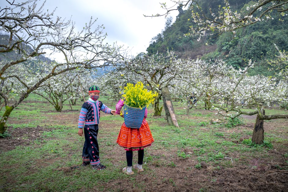 Children in vibrant traditional dress gather flowers in a scenic plum orchard, embracing nature and culture. (Photo: Quang Nguyen Vinh) Children in vibrant traditional dress gather flowers in a scenic plum orchard, embracing nature and culture.