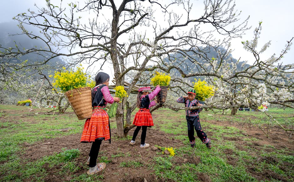 Children in colorful attire gather blossoms in a rural Vietnamese orchard. (Photo: Quang Nguyen Vinh) Children in colorful attire gather blossoms in a rural Vietnamese orchard.