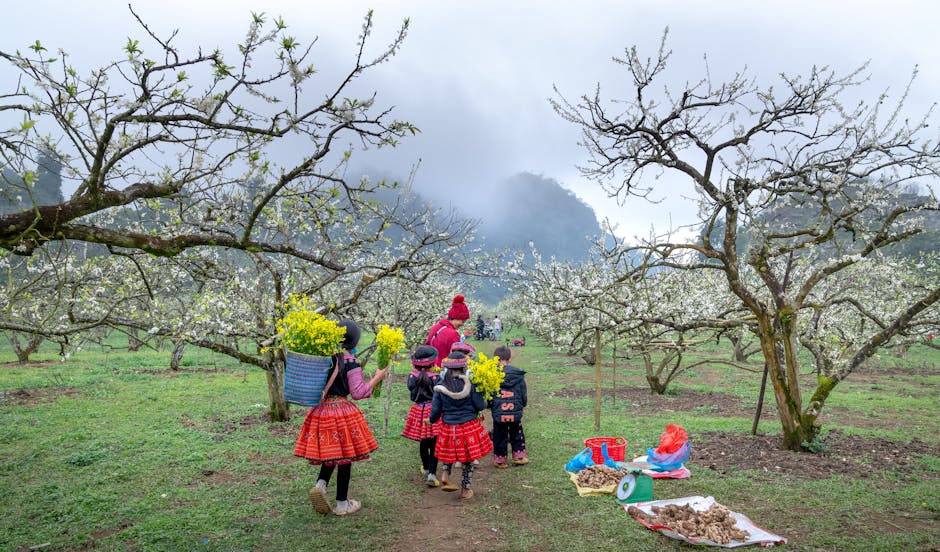 Children in traditional attire gather flowers in the scenic plum valley.