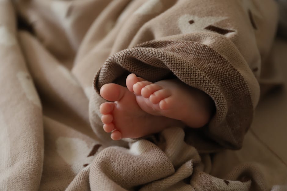 Adorable baby feet wrapped in a soft, cozy blanket, creating a warm and comforting scene.